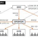 컨택터스