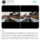마들역 맑은샘음악학원 성인 레슨 커리큘럼