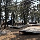 맹방비치캠핑장 이미지