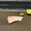 초당의원 | 담장 세번째 내돈내산 방문, 대전 프로듀스 의원 리쥬란 추천, 마이페이보릿쿠키 두쫀쿠 비추, 대전...