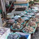 구룡포시장 이미지