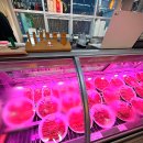 삼육 식육점 이미지