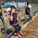 일곱식구농장 이미지