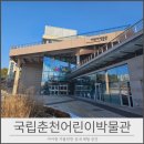 아장아장, 나비의 여행 | 국립춘천박물관1편 아이랑 가기좋은 어린이 박물관 방문 후기