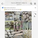 미드미도깨비장터 - 해운대구 해운대로76번길 40 | 미드미도깨비장터