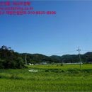 금동 태양광발전소 이미지