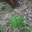 보수농장 이미지