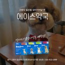 일산현대약국 이미지