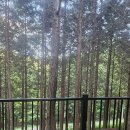주작산 휴양림 Daum카페
