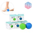 휘트니스헤븐 이미지