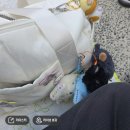 뉴앵콜노래연습장 | 251031 NCT WISH 1st CONCERT &lt;IN TO THE WISH : OUR WISH&gt; 첫콘 후기