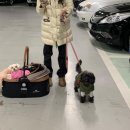 해피버트데이 이미지