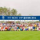 VIP골프