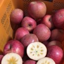 하은농원 이미지