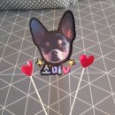 소미토퍼