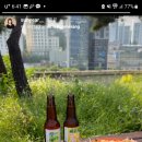 제비식당 이미지