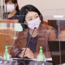 신기연합의원 이데일리