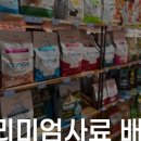 더블유펫 이미지