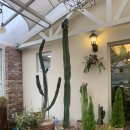 엠포레11 이미지