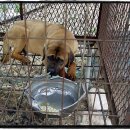 누렁이농장 이미지