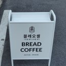 블레오셀