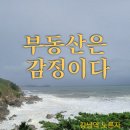 노른자공인중개사사무소 이미지