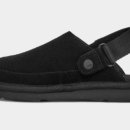 골든스타 이미지