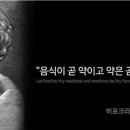 미뇽까데트 이미지