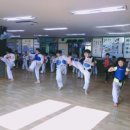 용호태권도장 이미지