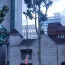 수제화전문사랑이네 | 신랑 예복 루쏘소 종로점 계약 후기 맞춤예복 웨딩촬영정장대여 맞춤셔츠 수제화 웨딩패키지 구성 가격...