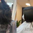 살롱디홍(Salon D.Hong)