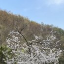 대성오토주식회사 | 늦은 봄 완주 대둔산 캠핑장 후기