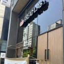 구갈브레드랩 | [용인/구갈]베이커리카페 브레드랩 내돈내산 후기