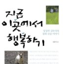 이곳에서 이미지
