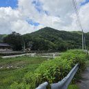 죽림정사~동화호 이미지