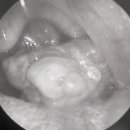 탕정열린이비인후과의원 이미지