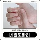 네일또하리 이미지