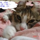 놀아줘 - 영등포구 선유동1로 6-7 | 놀아줘