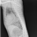 장암종합동물병원 이미지