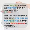 건강한 팜듀