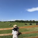 (주)해피렌트카 이미지