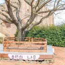 동산상회 이미지