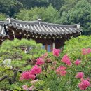 경기도 연천 조선왕가 한옥 호텔 수영장 글램핑 연천 여행 가볼만한곳 추천