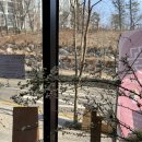 소예플레르 이미지