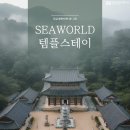 🚢 "배 타고 떠나는 해남 대흥사 템플스테이" 이미지