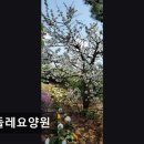 민들레병원 이미지