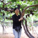 혜진농장 이미지