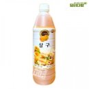 청솔 이미지