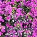별일