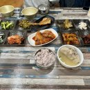 제주태원 이미지
